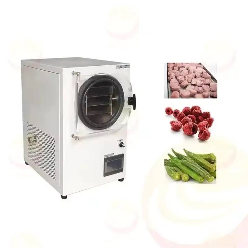 Freeze Drying Machine Small Va - Vacuum Chamber Small 评论和价格