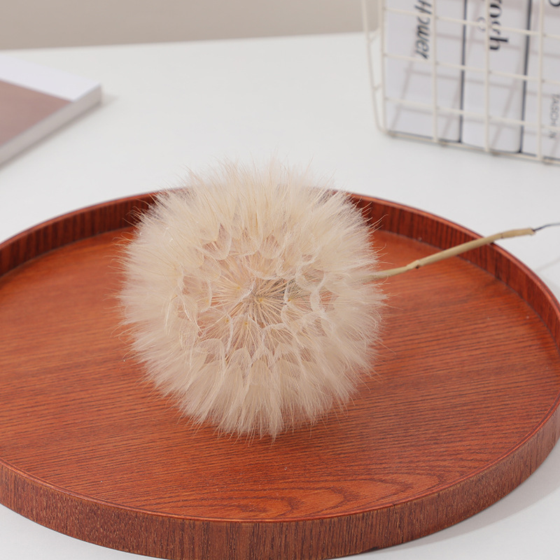 Preserved Dandelion DIY Epoxy  - Crafting Resin 评论和价格