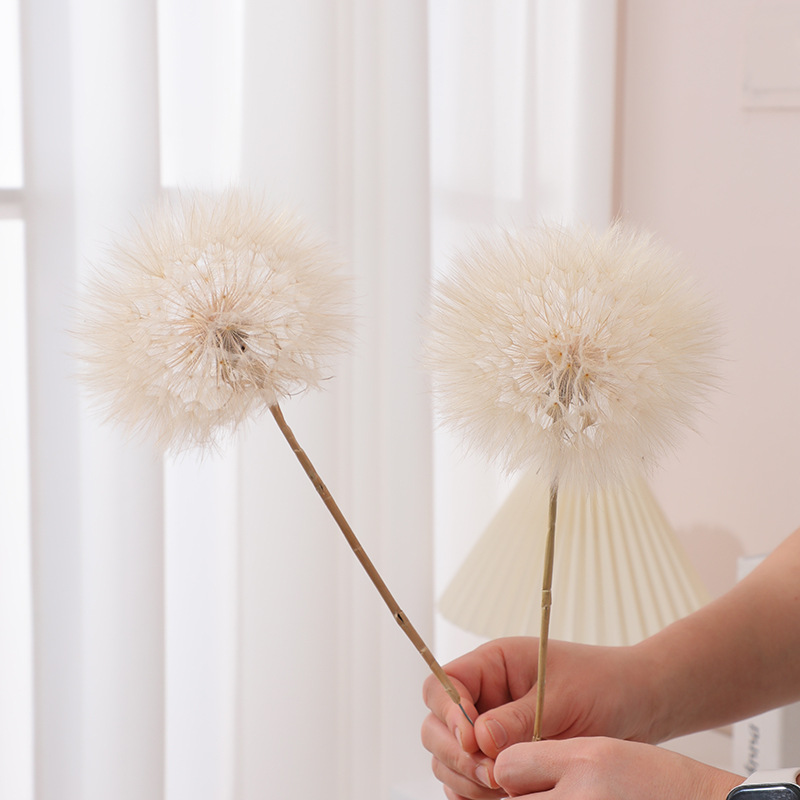 Preserved Dandelion DIY Epoxy  - Crafting Resin 评论和价格