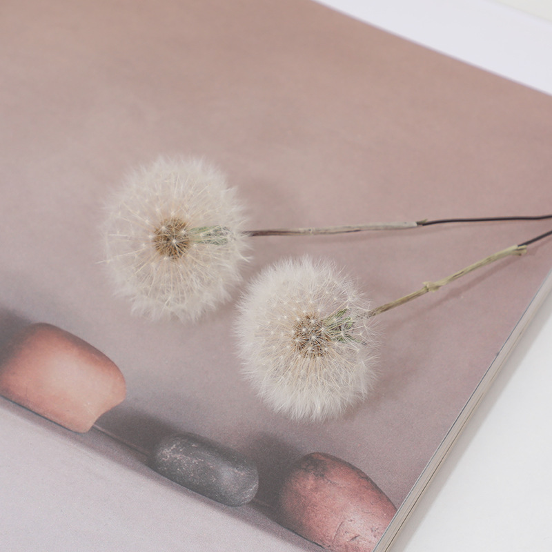 Preserved Dandelion DIY Epoxy  - Crafting Resin 评论和价格